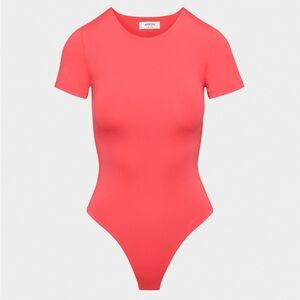 Aritzia Bodysuit